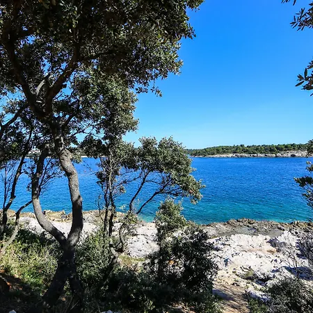 Arena Verudela 리조트 4*