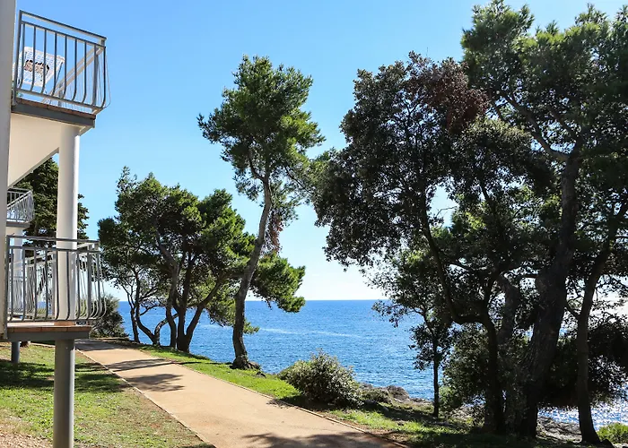 Arena Verudela بولا