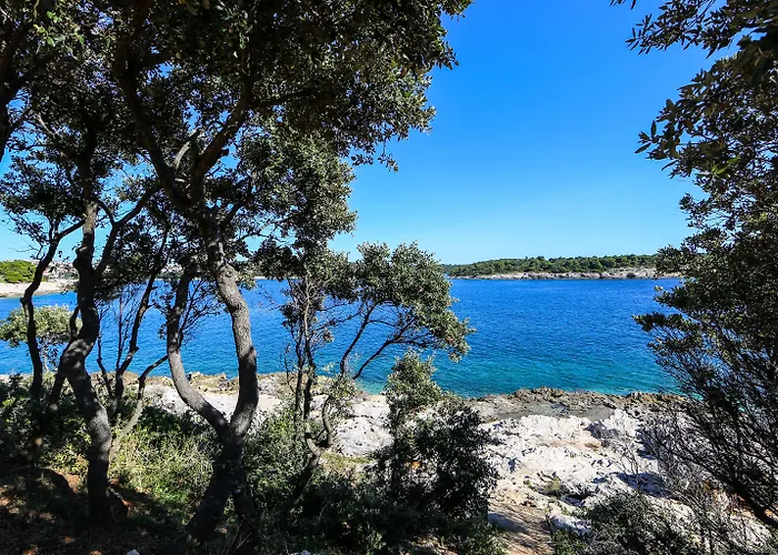 Arena Verudela Resort 4*